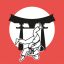 www.jiujitsusteenokkerzeel.be favicon